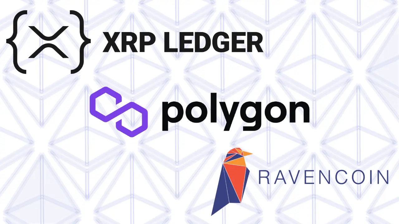 logos of XRP Ledger, Polygon, Ravencoin