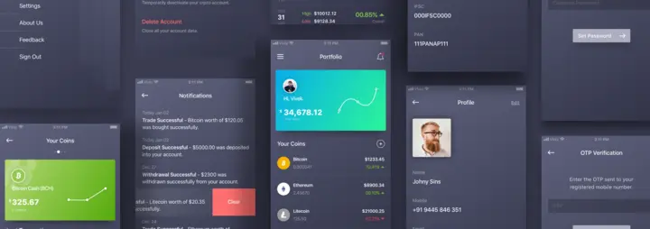 Software wallets user interface