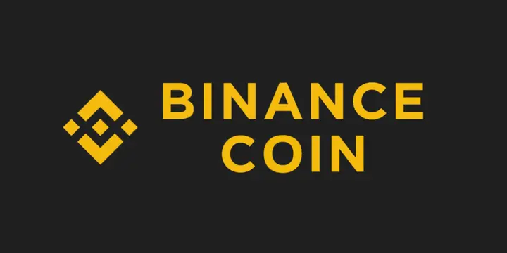 Binance coin logo