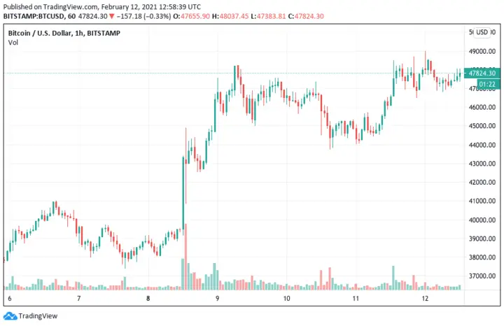 Bitcoin trading chart: 12th February 2020