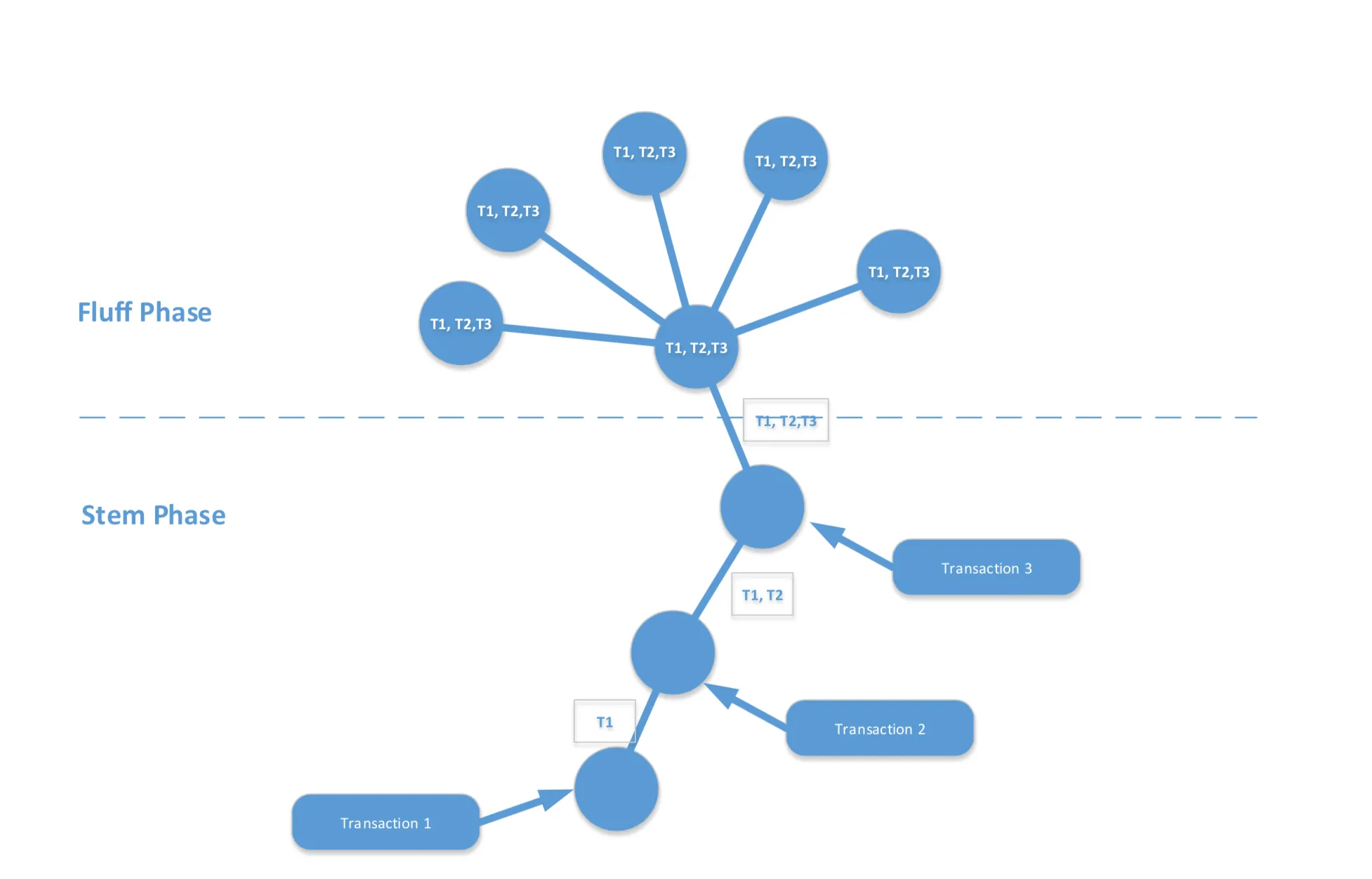 how dandelion protocol works