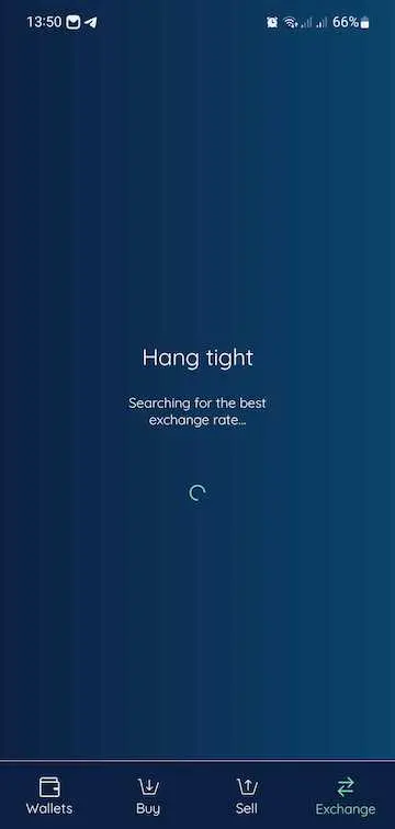 the tab shows a loading animation, message says "hang tight"