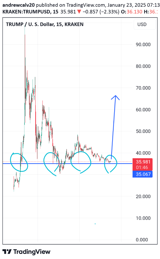 trump price analysis