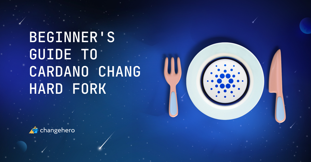 Beginner's Guide to Cardano Chang Hard Fork