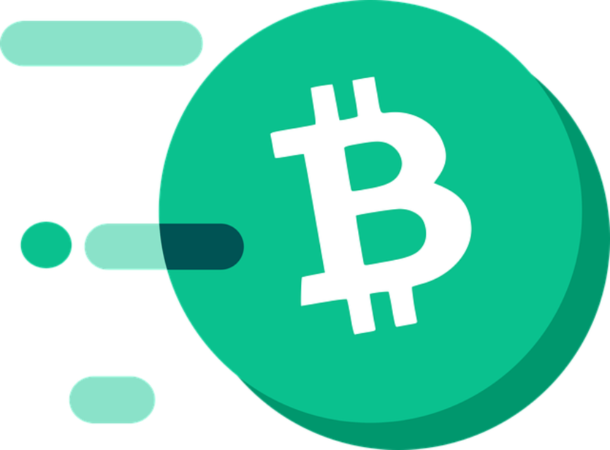 bch logo