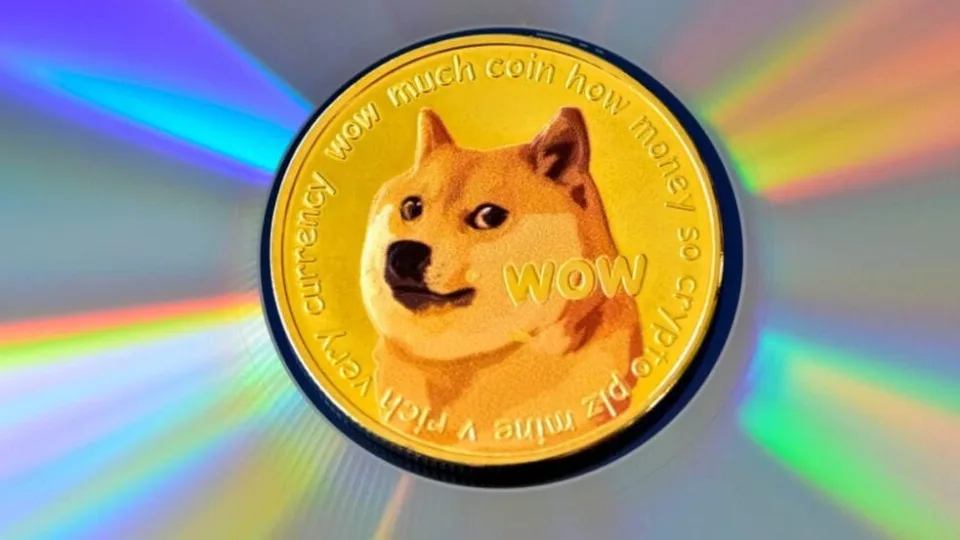 dogecoin doge illustration