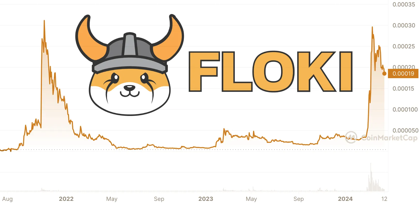 floki inu price chart