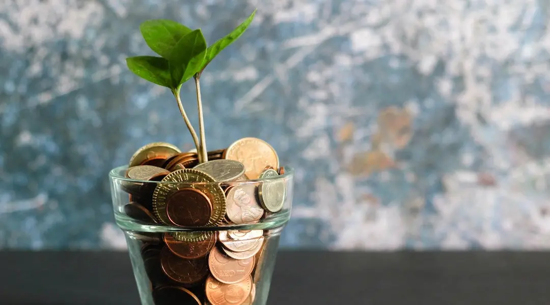 A sapling and coins