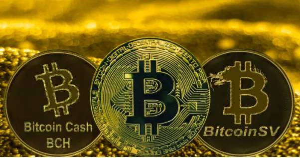 форки биткоина bitcoin bitcoin cash bsv