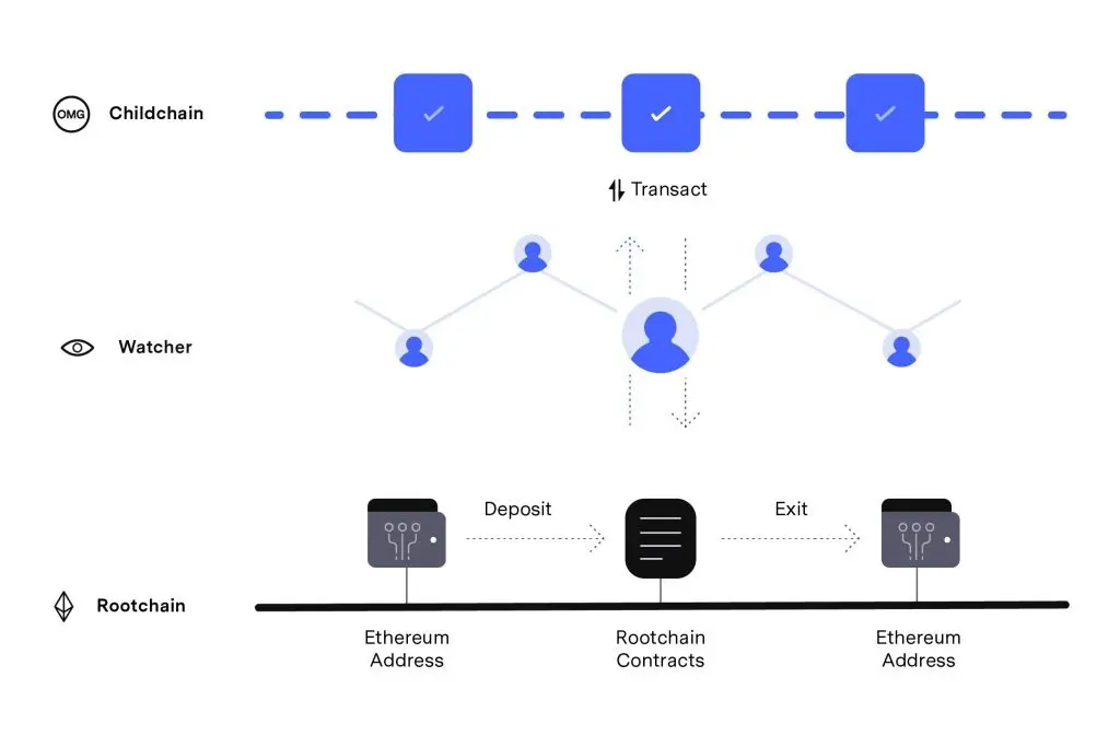 How does OMG Network work